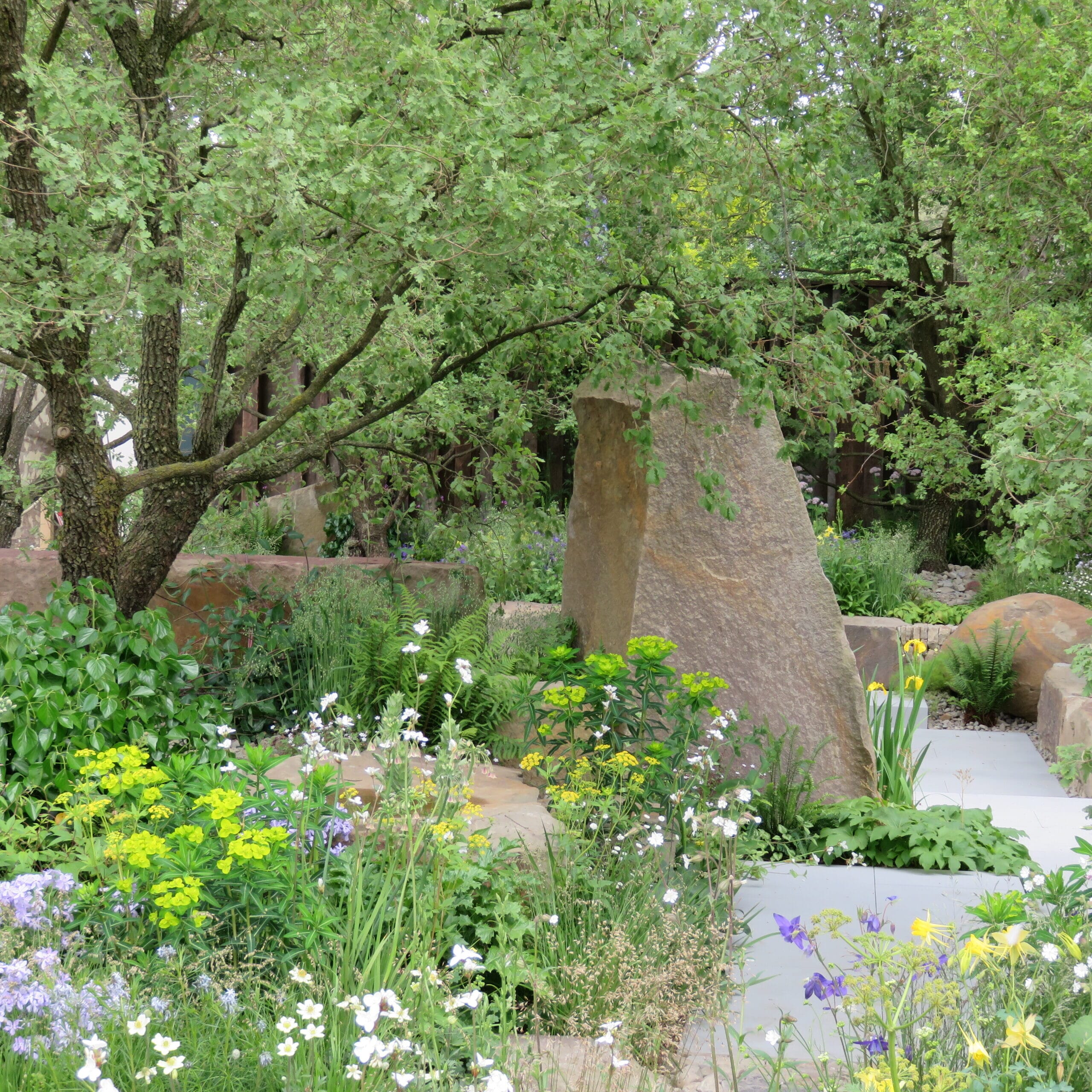 flowers-and foliage-chelsea-flower-show