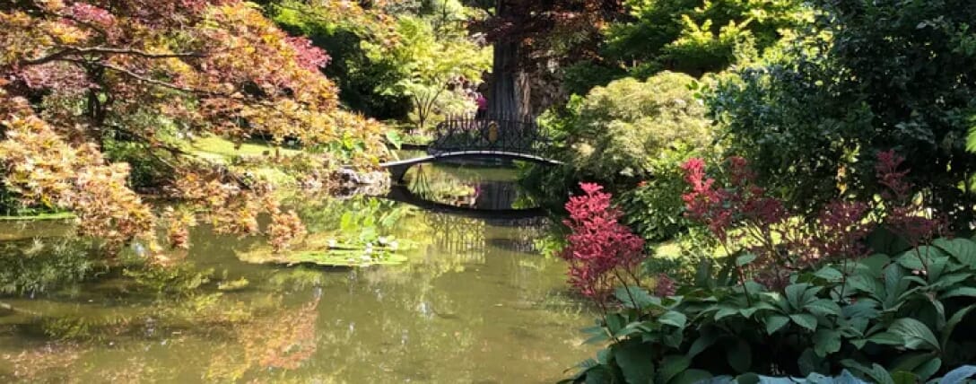 Lichen_blog-2.jpg?w=1024&h=403&scale