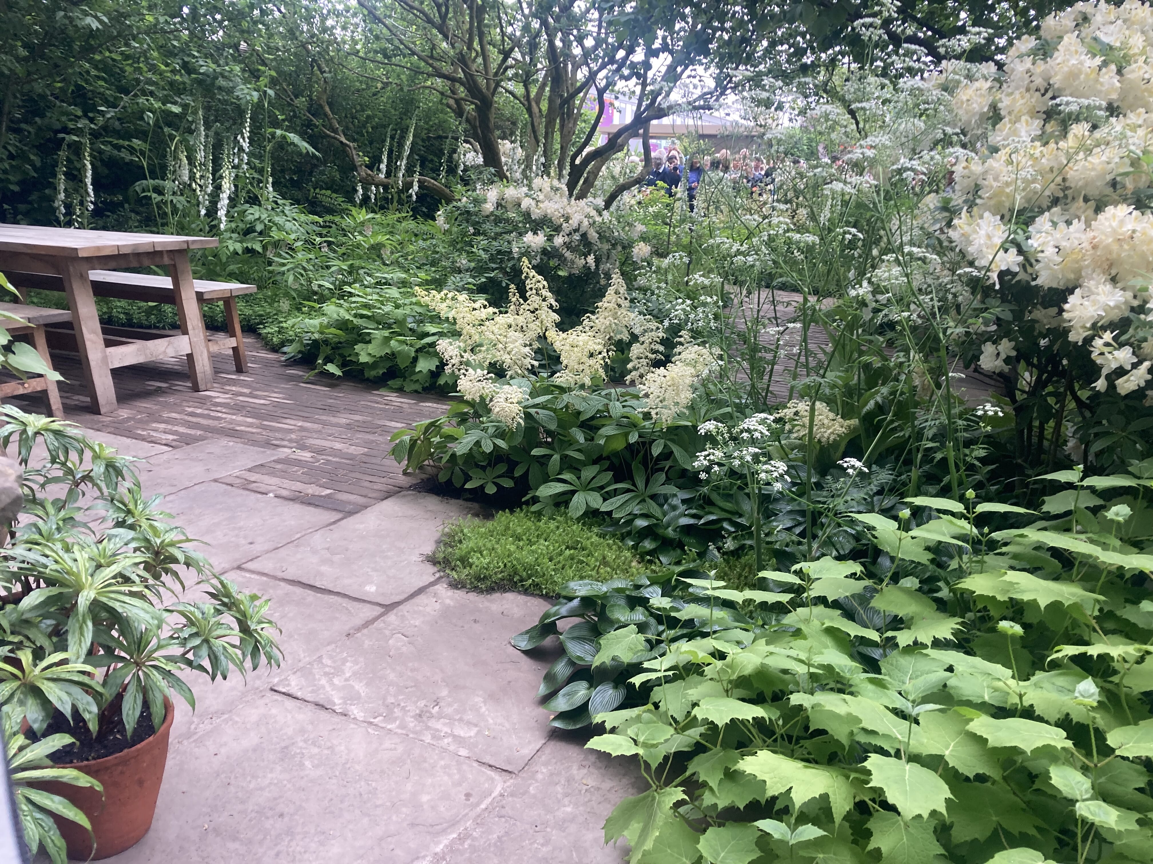 chelsea-flower-show.jpeg?w=1024&h=768&scale