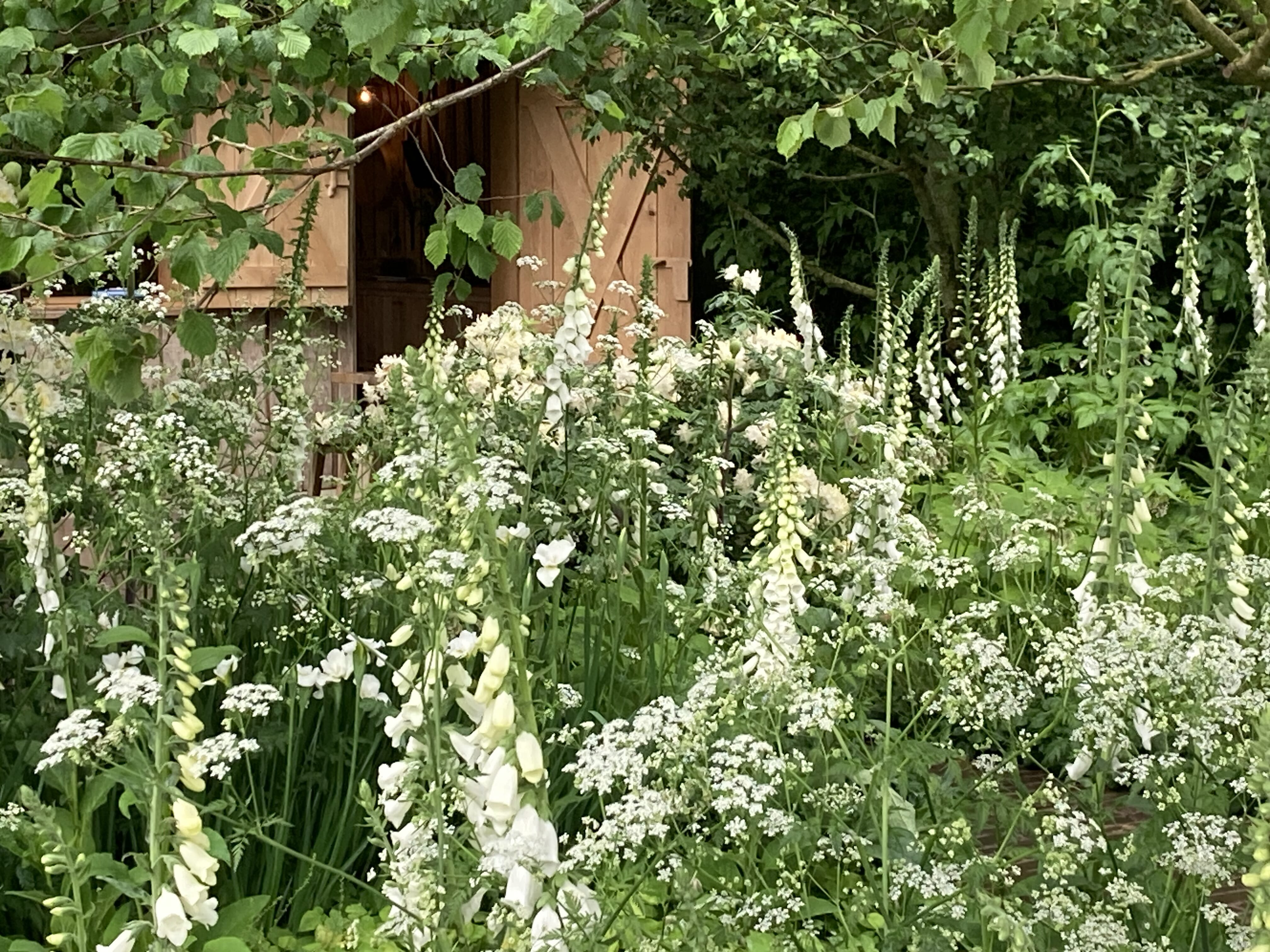 tom-stuart-smith-show-garden